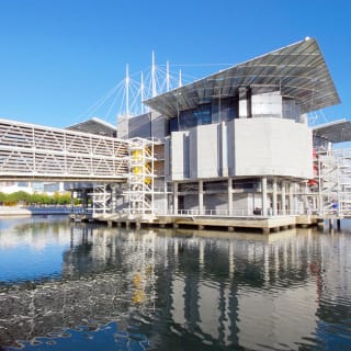 Oceanário de Lisboa: Mergulha nesta aventura! 5