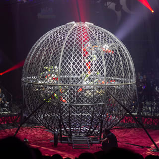 Circus Vazquez: A New Age Traditional Circus 4