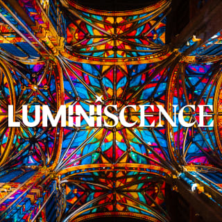 LUMINISCENCE: Sumérgete en los secretos de la Basílica Santa Maria del Pi 2