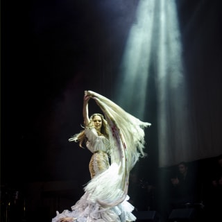 Flamenco a la Mexicana - Con Todos tus Sentidos 5