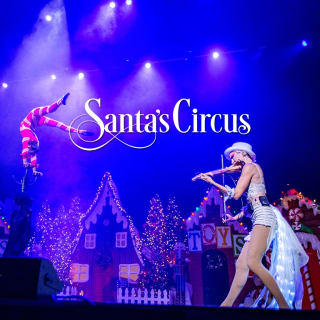 Santa's Circus 1