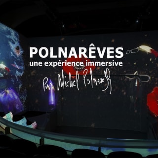 Polnarêves : une expérience immersive par Michel Polnareff 1