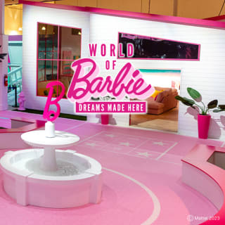 World of Barbie 2