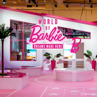 World of Barbie 4
