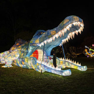 NYC Winter Lantern Festival 2