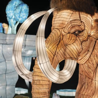 NYC Winter Lantern Festival 3