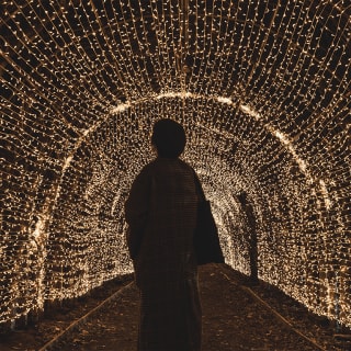 NYC Winter Lantern Festival 1
