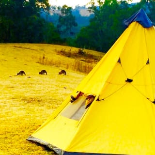 Wild Camping & Off Road Wilderness Adventure: The Blue Mountains 5