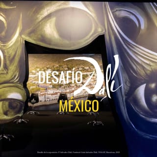 Desafio Salvador Dalí 5