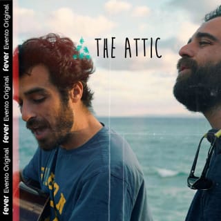 The Attic: Mi hermano y yo en concierto al aire libre 1