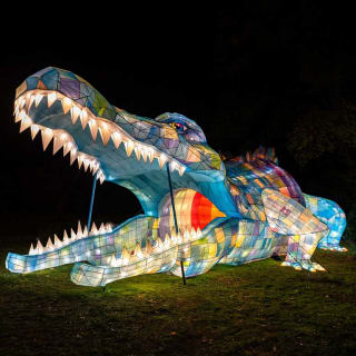 Illuminate the Farm: NYC Winter Lantern Festival 3