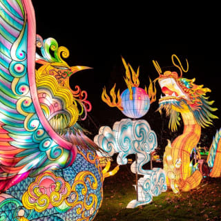Illuminate the Farm: NYC Winter Lantern Festival 1