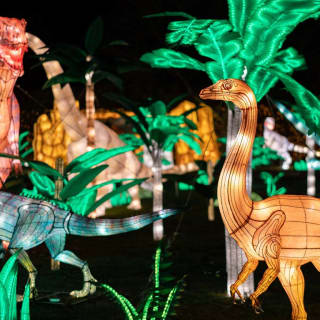 Illuminate the Farm: NYC Winter Lantern Festival 4