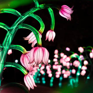 Illuminate the Farm: NYC Winter Lantern Festival 6