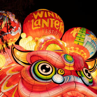 Illuminate the Farm: NYC Winter Lantern Festival 2