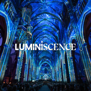 LUMINISCENCE : Plongez dans la légende de la Cathédrale Sainte-Croix à Orléans - Liste d'attente 2