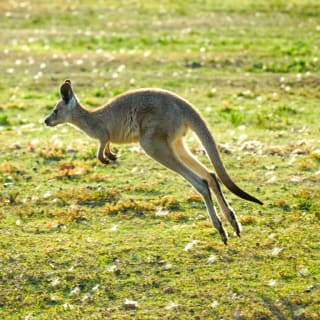 Wild Camping & Off Road Wilderness Adventure: The Blue Mountains 2