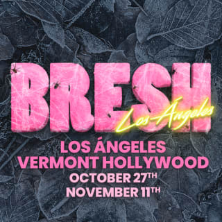 BRESH: The Most Beautiful Party in the World 1