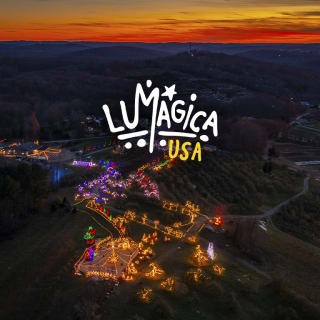 LUMAGICA: An Enchanted Forest 3