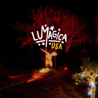 LUMAGICA: An Enchanted Forest 4