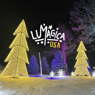 LUMAGICA: An Enchanted Forest 5