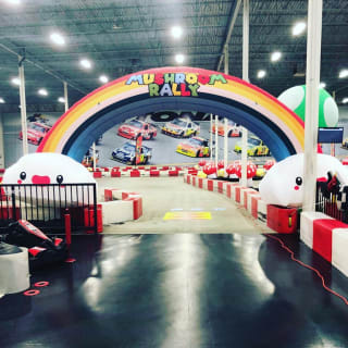 Mushroom Rally Go-Karting (NY/NJ) 1