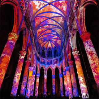 LUMINISCENCE : Plongez dans l'âme du Pays Basque à la cathédrale de Bayonne 3