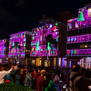 Miami Beach Holiday Festival of Lights 4