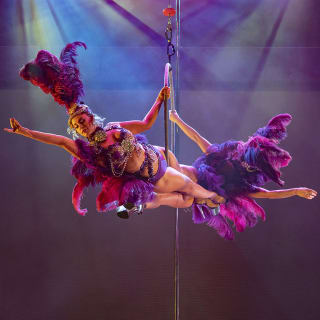 Rise the Night: Contortion and Aerial Show! 3