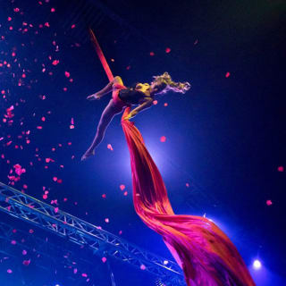 Rise the Night: Contortion and Aerial Show! 1