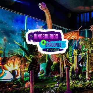 Dinosaurios y Dragones Fantásticos - Buenos Aires 3