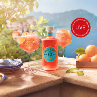 Online Cocktail & Pasta Workshop with Deluxe Malfy Gin Kit 3
