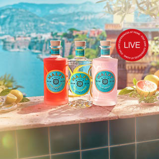 Online Cocktail & Pasta Workshop with Deluxe Malfy Gin Kit 4