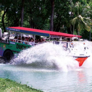 Singapore DUCKtour: A Land & Sea Sightseeing Cruise 5