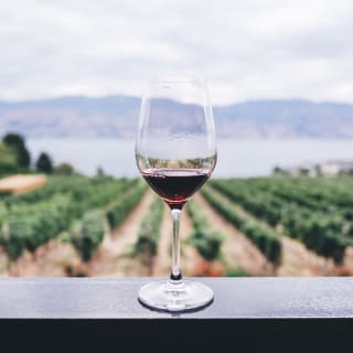 The Ultimate Virtual Wine Crash Course with Sommelier Amy Karasavas 1