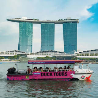 Singapore DUCKtour: A Land & Sea Sightseeing Cruise 4