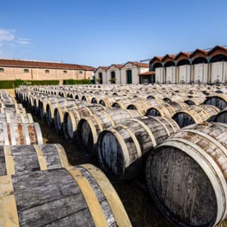 Maison Noilly Prat : Visite, dégustation et cours de mixologie 2
