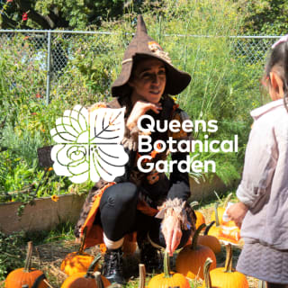 Pumpkin Patch at Queens Botanical Garden 3