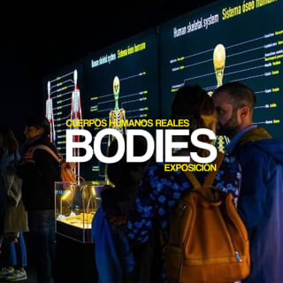 Exposición Bodies en Madrid 3