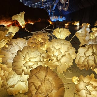 L'Océan de Léa - Exposition Immersive by JFJ 2