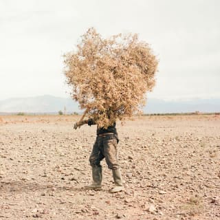 World Press Photo Exhibition 2024 4