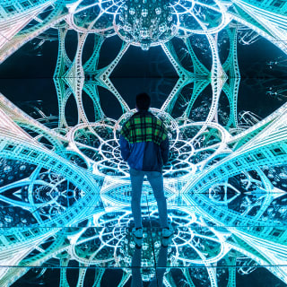 Fantasy Lab: experiencia inmersiva Art Nights 1
