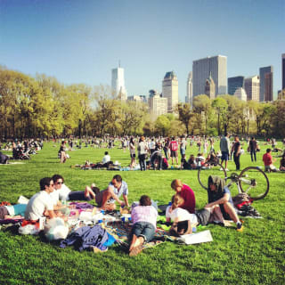 Sunset Picnic In Central Park 1