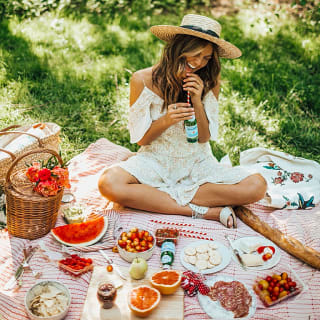 Sunset Picnic In Central Park 3