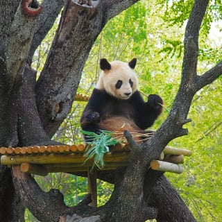 Visita el Zoo Aquarium de Madrid 1