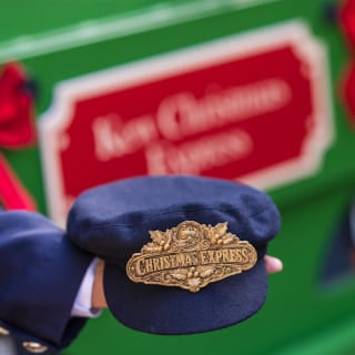Christmas Express presso i Kew Gardens Royal Botanic Gardens 4