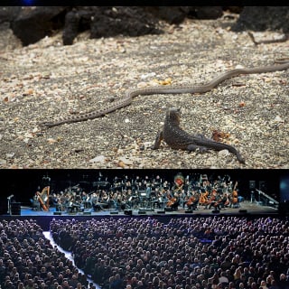 Planet Earth II: Live in Concert 3