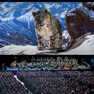 Planet Earth II: Live in Concert 4
