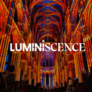 LUMINISCENCE: De meest spectaculaire lichtshow ter wereld, voor het eerst in Nederland! 2