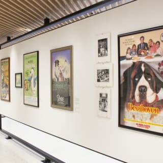 Museum of the Dog: A Canine Paradise! 3